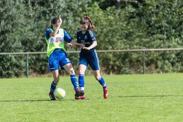 Bild 48 - B-Juniorinnen VfL Pinneberg - HSV : Ergebnis: 1:4